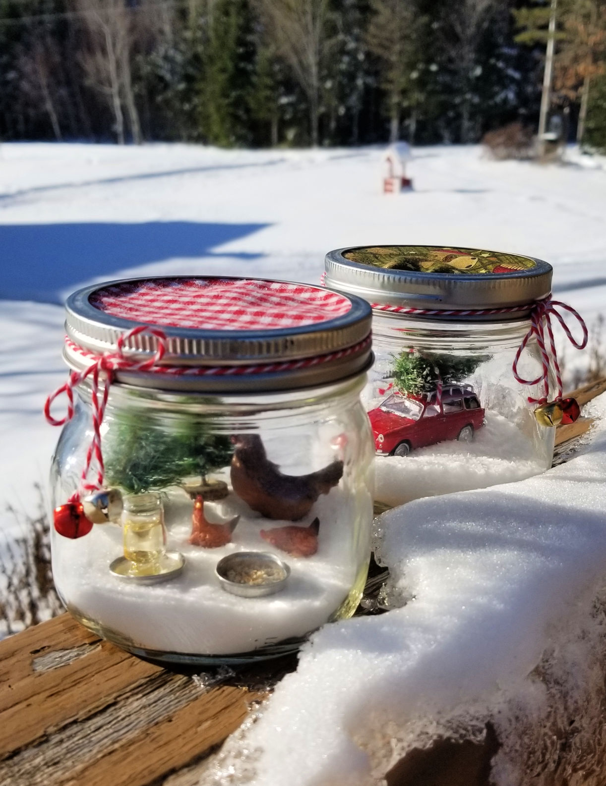 Simple DIY Snow Globe - Christina Maria Blog