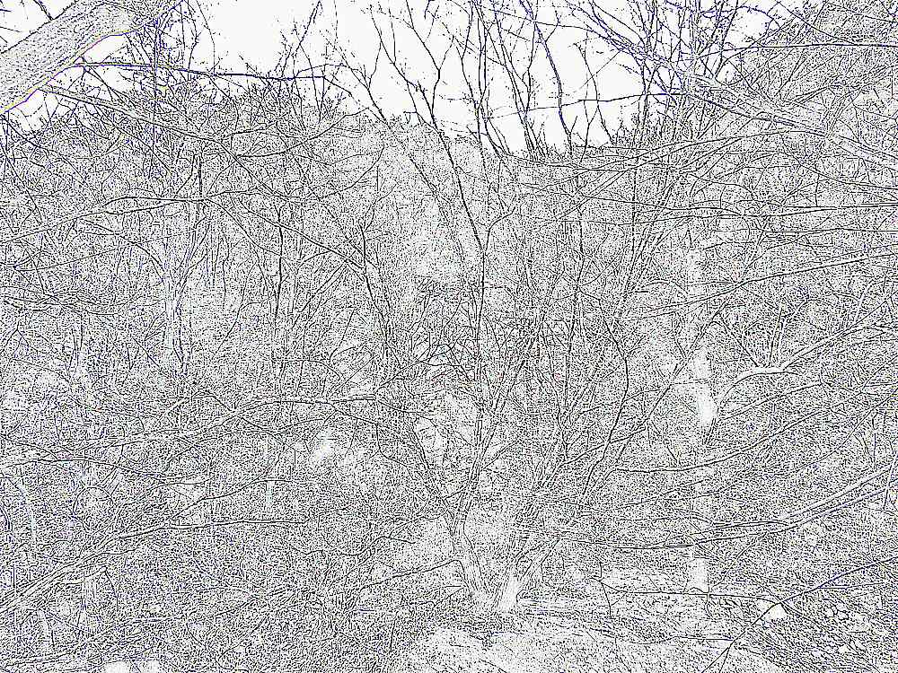 의정부 도봉산 망월사 의정부 도봉산 망월사