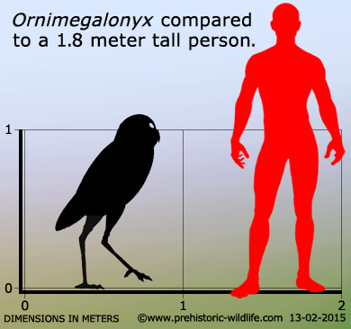 prehistoric comparison cursorial extinct