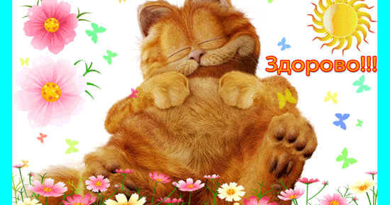 Вам: Здорово! Картинки.gif