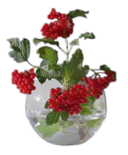 Gedankenreise Grusse Die Mich Erreichten