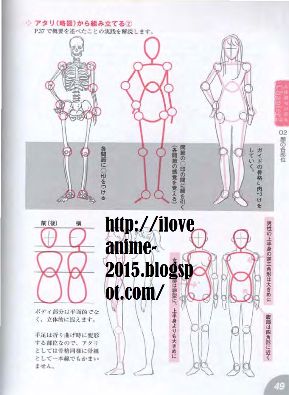 HOW TO DRAW ANIME ANATOMY 2015 MEDIAFIRE 私はアニメが大好き