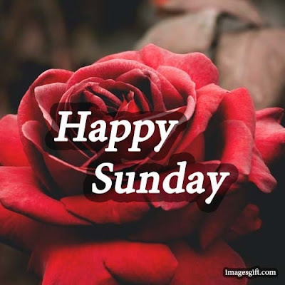 happy sunday status dp happy sunday status dp
