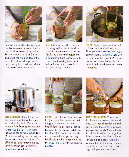 Safe Canning Recipes Butters (Fruit)