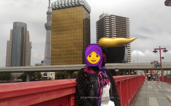 metropilis jika dibandingkan dengan area lain dari kota Tokyo Asakusa, Wajah Tokyo Dulu Kala
