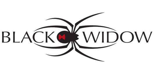 Blackwidow for Info gathering & pentest website