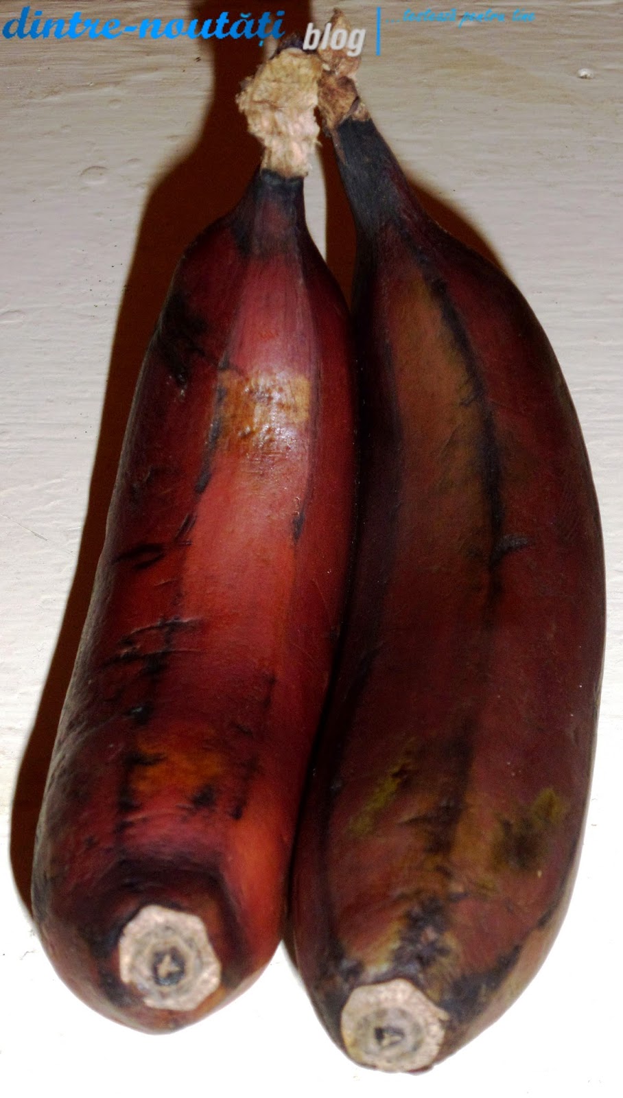 Banane roșii | D-Nblog. Păreri sincere despre produse noi.Testez pentru ...