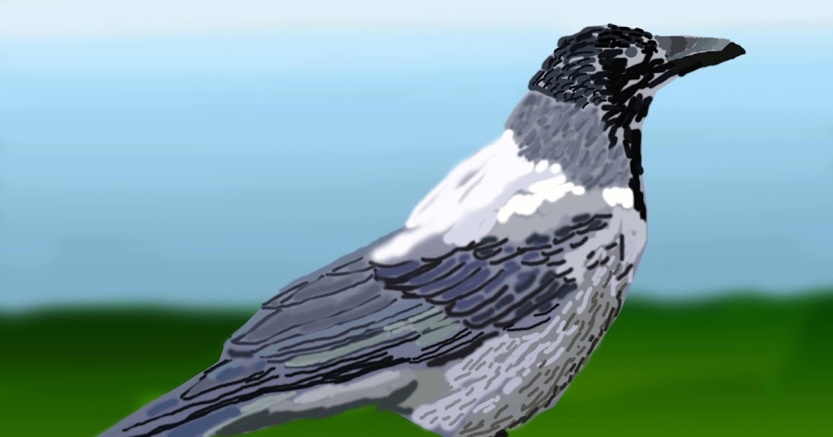 Ein weißer Rabe fliegt übers Vogtland von der oberen Saale und aus Ostthüringen