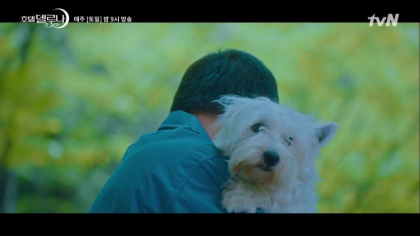 이 이미지는 대체 속성이 비어있습니다. 그 파일 이름은 20210511160841.png입니다