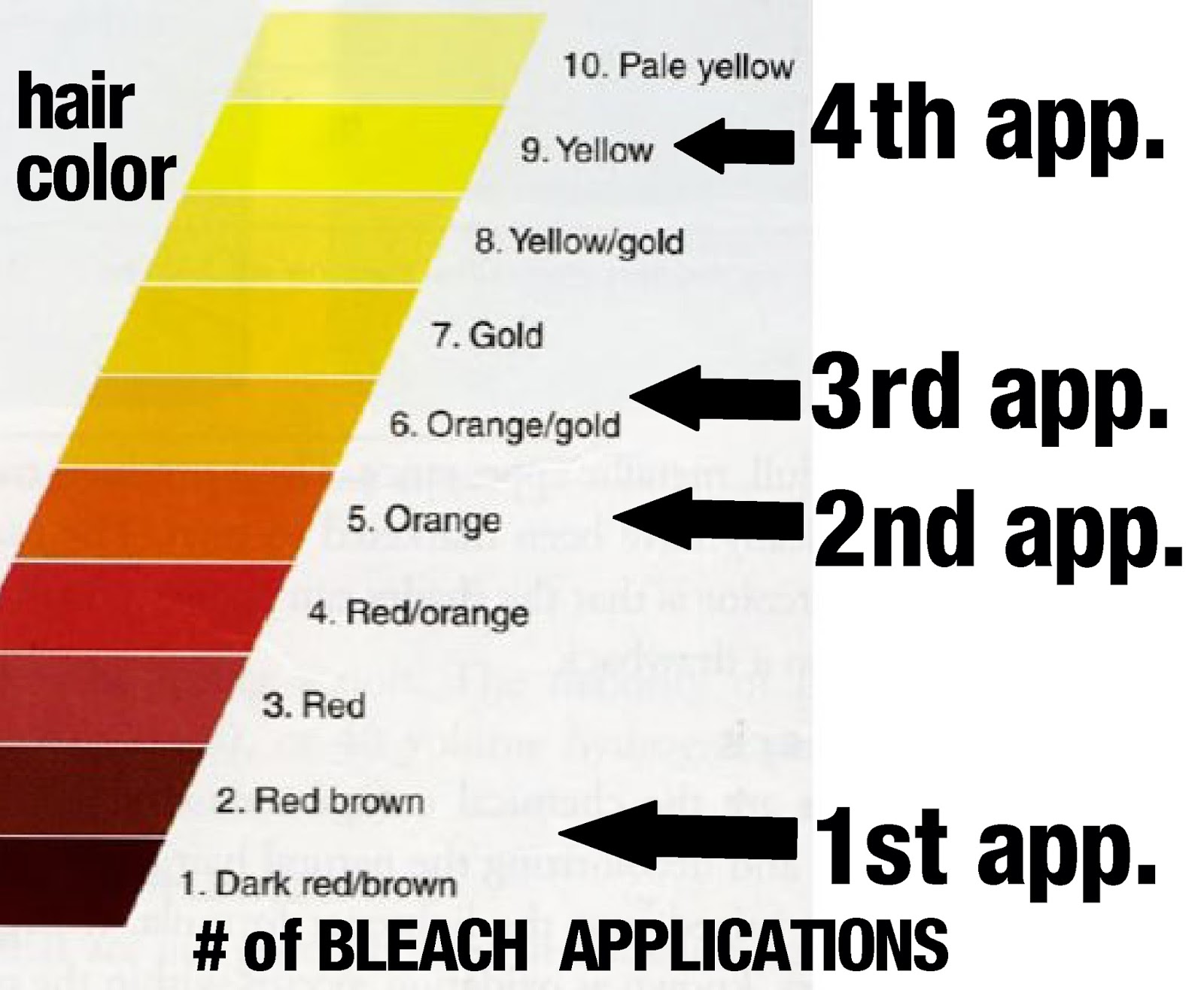 Hair Bleach Level Chart