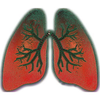 Obat Sesak Nafas Alami Dengan Cara Tradisional