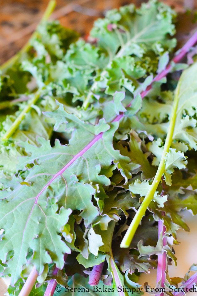 Tortellini Kale Pesto Pasta Salad | Serena Bakes Simply From Scratch