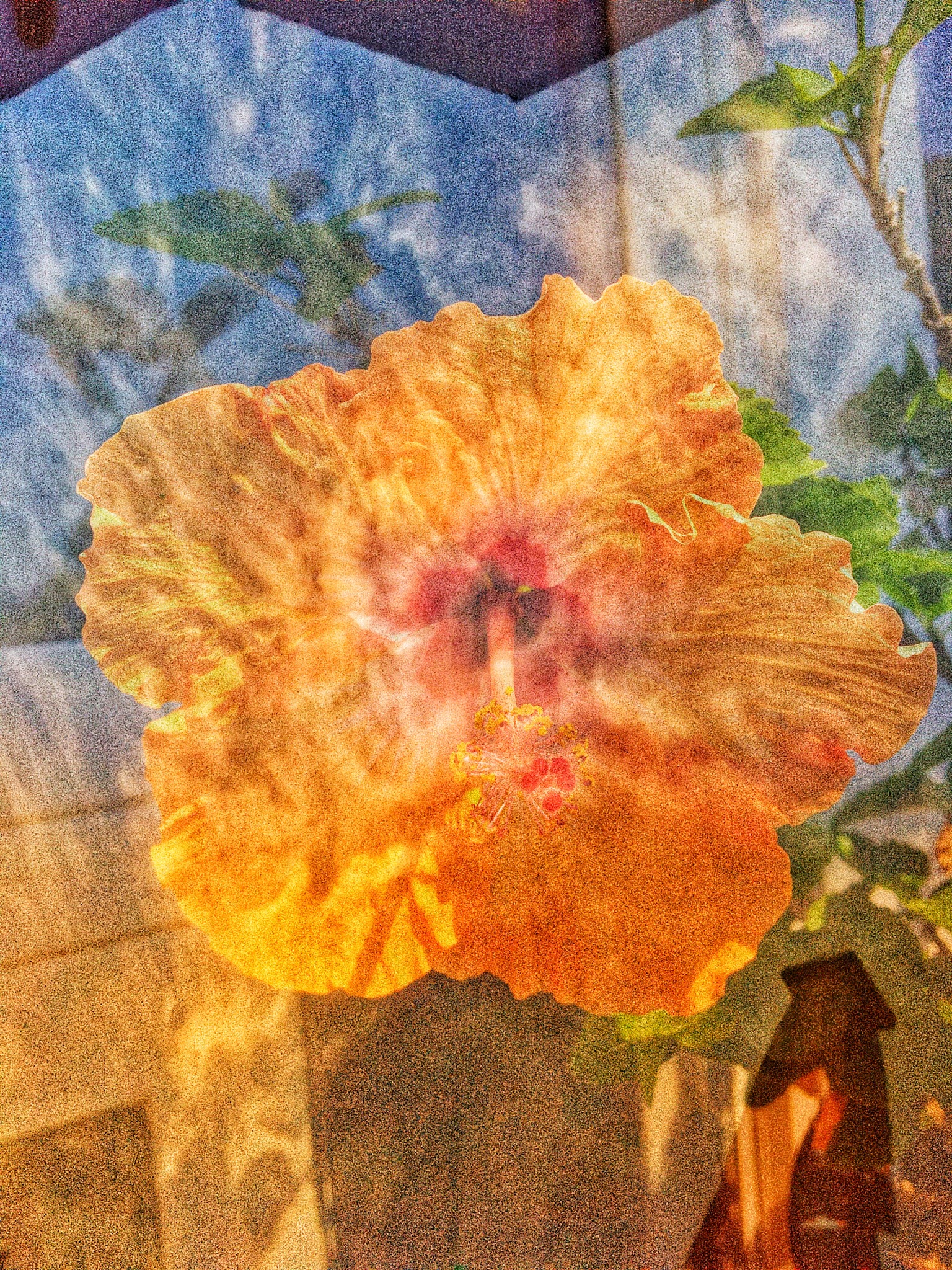 Border bites essay 02 picture