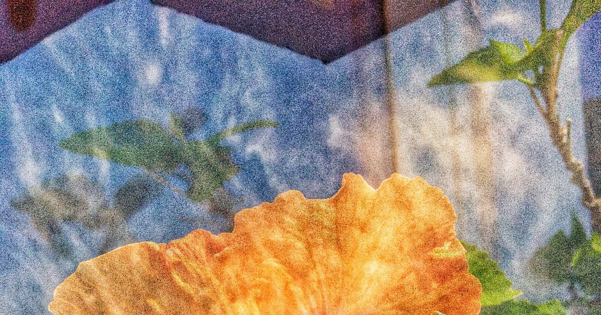 Border bites essay 05 picture