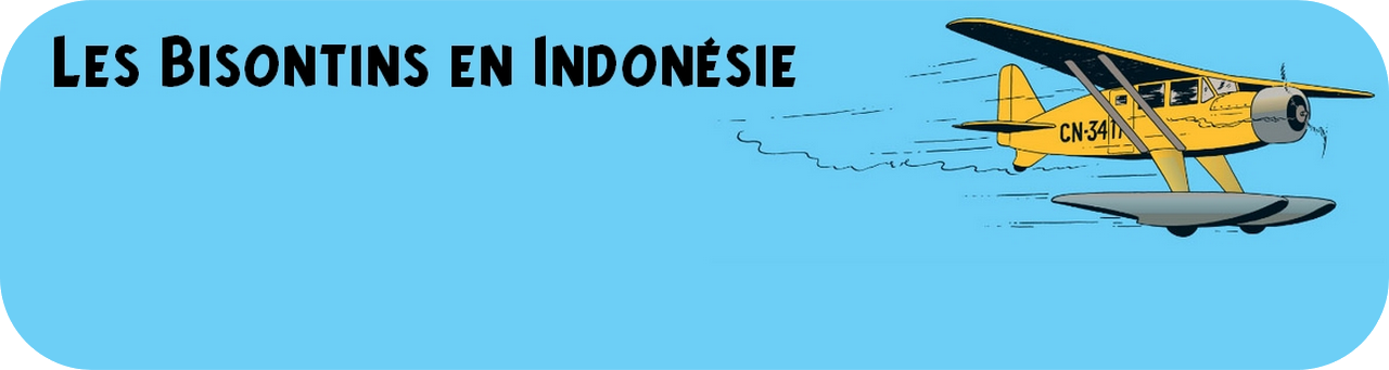 TNLA 2017 - Bisontins en Indonésie