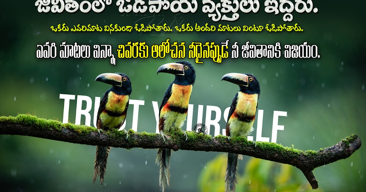 Top Telugu Inspirational Quote On successful life-Daily Telugu