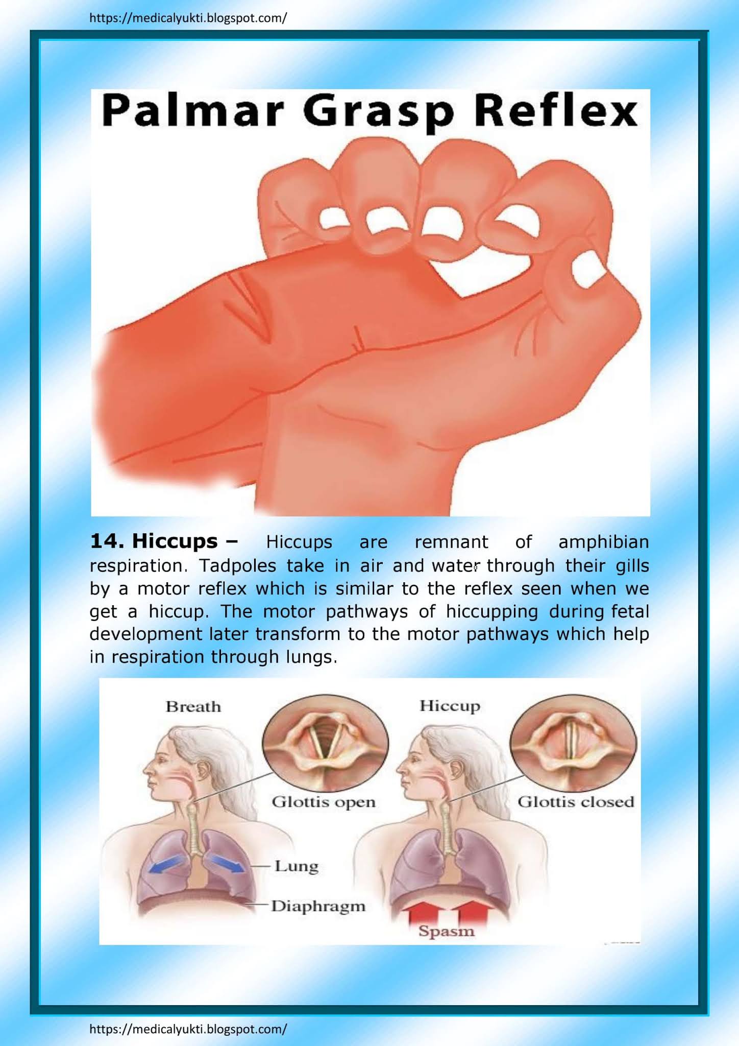 Vestigial organs Medical Yukti