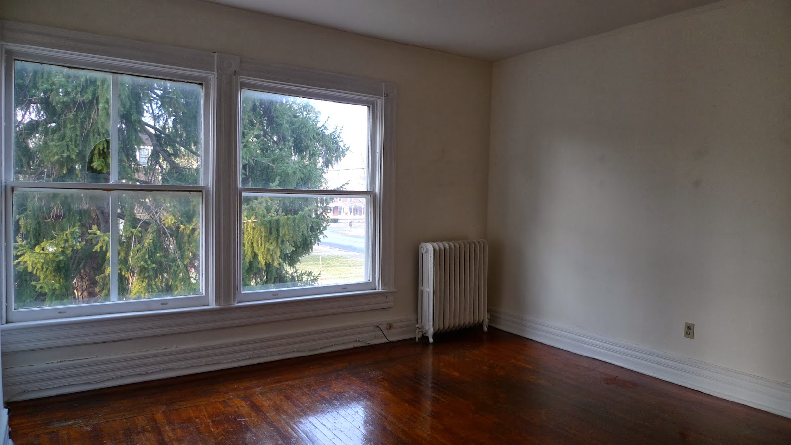 phil rose apartments Nice One Bedroom