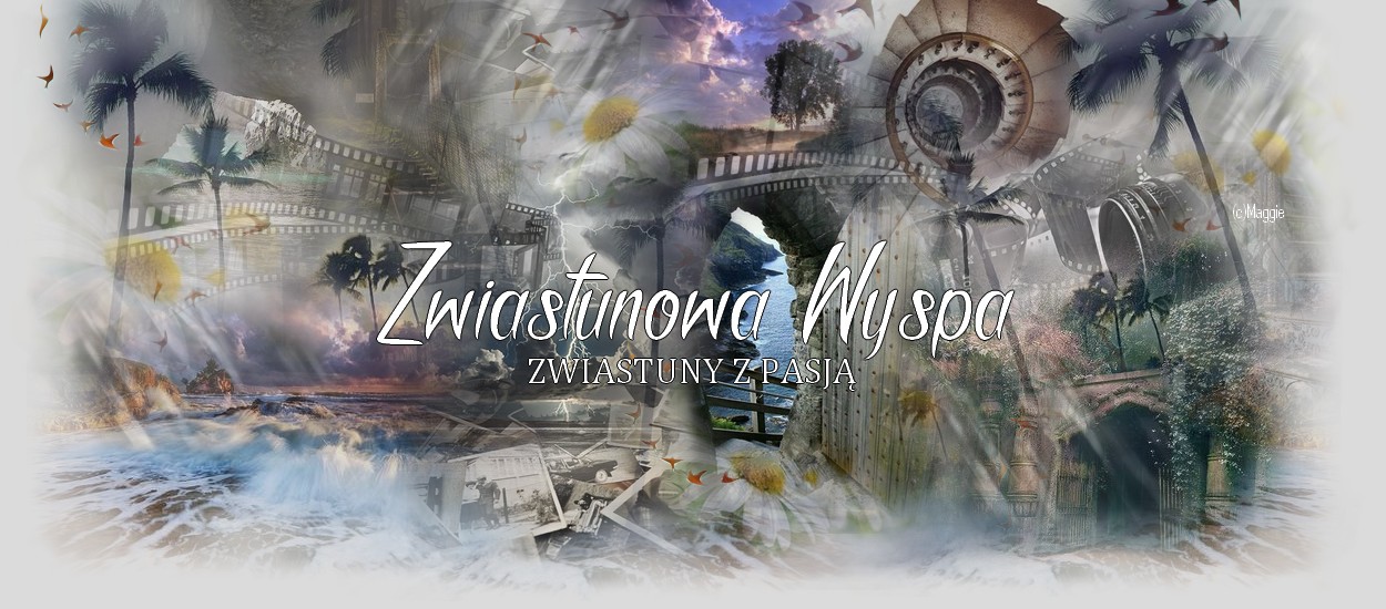 Zwiastunowa Wyspa ♥