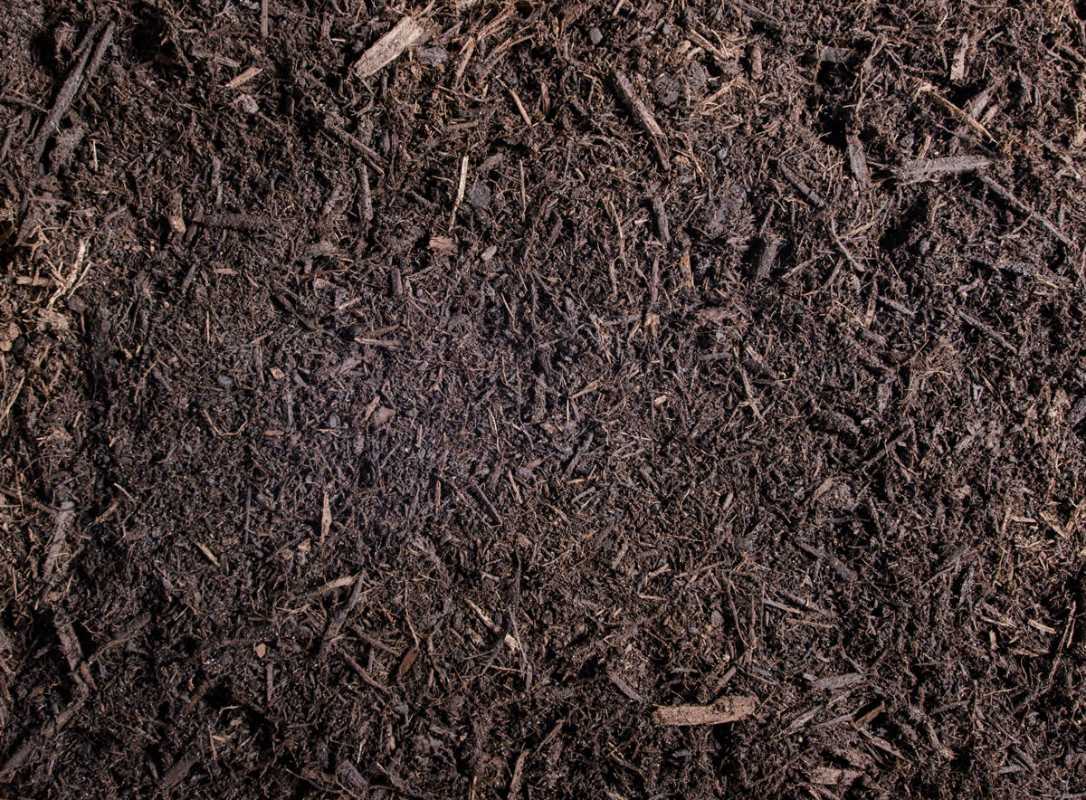 What's Around Your Water Feature Is Important Too!