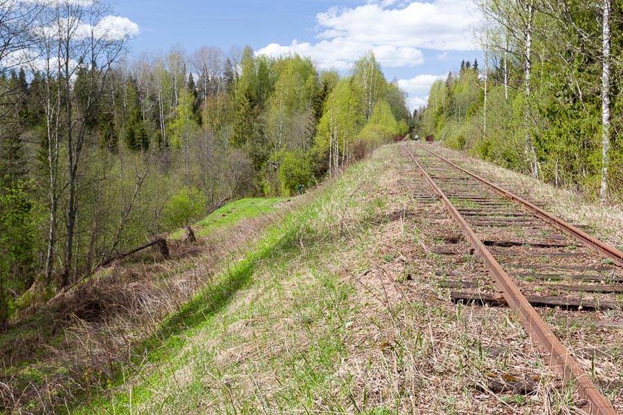 полустанок погостье. отсыпка насыпи земляного полотна. насыпь железнодорожного полотна. откос железнодорожного пути. высокая насыпь железной дороги.