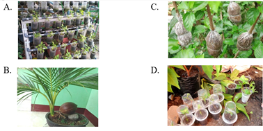 Soal PTS PLBJ Kelas 5 Semester 2 Kurikulum 2013 - Kumpulan Soal Ulangan