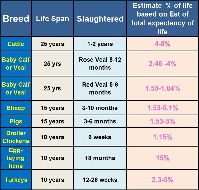 Ethical Objections to Veal
