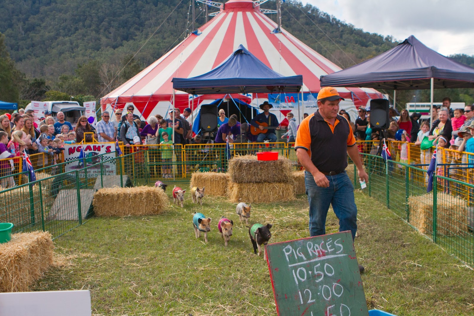 Our Everyday Life in Pictures The Samford Show Part 2