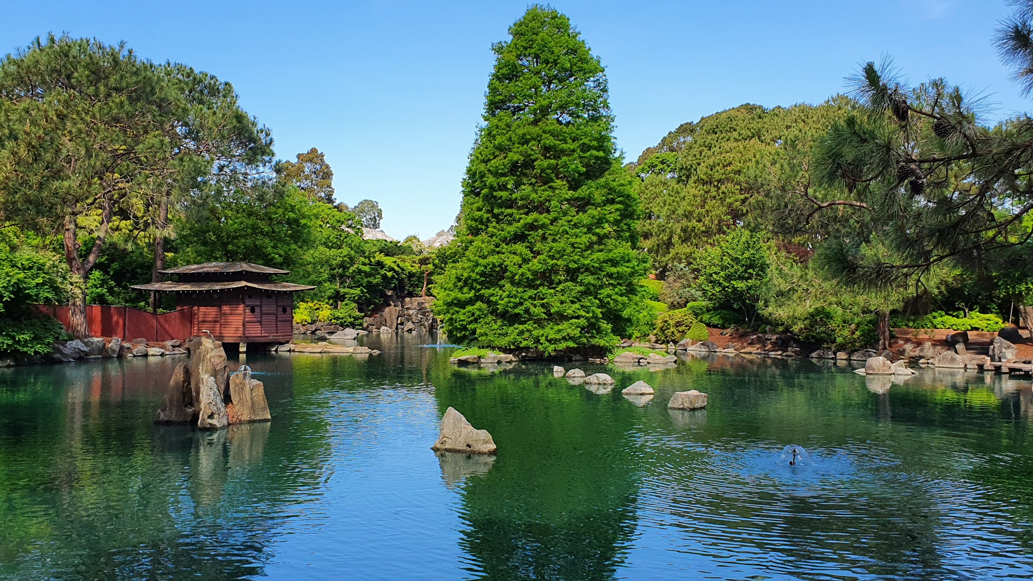 Sydney City and Suburbs Auburn, Botanic Gardens, Japanese Gardens Lake