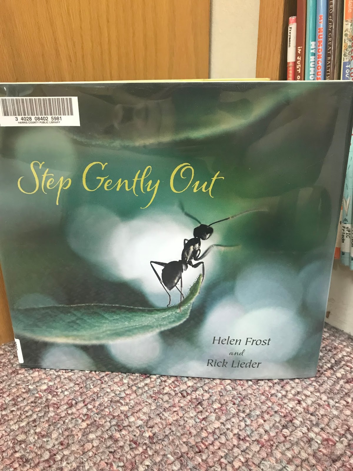 I am the Straight Forward One Step Gently Out