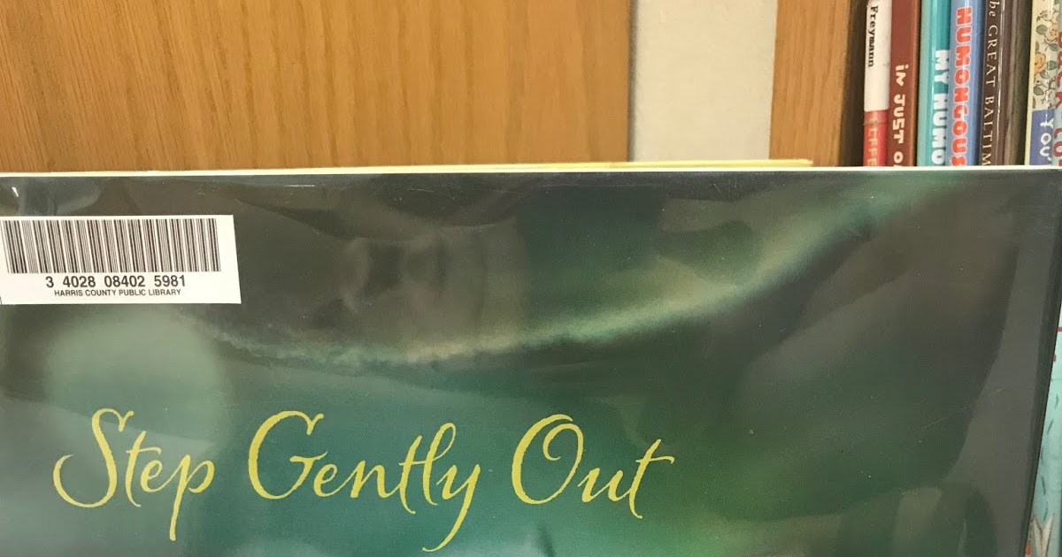 I am the Straight Forward One Step Gently Out