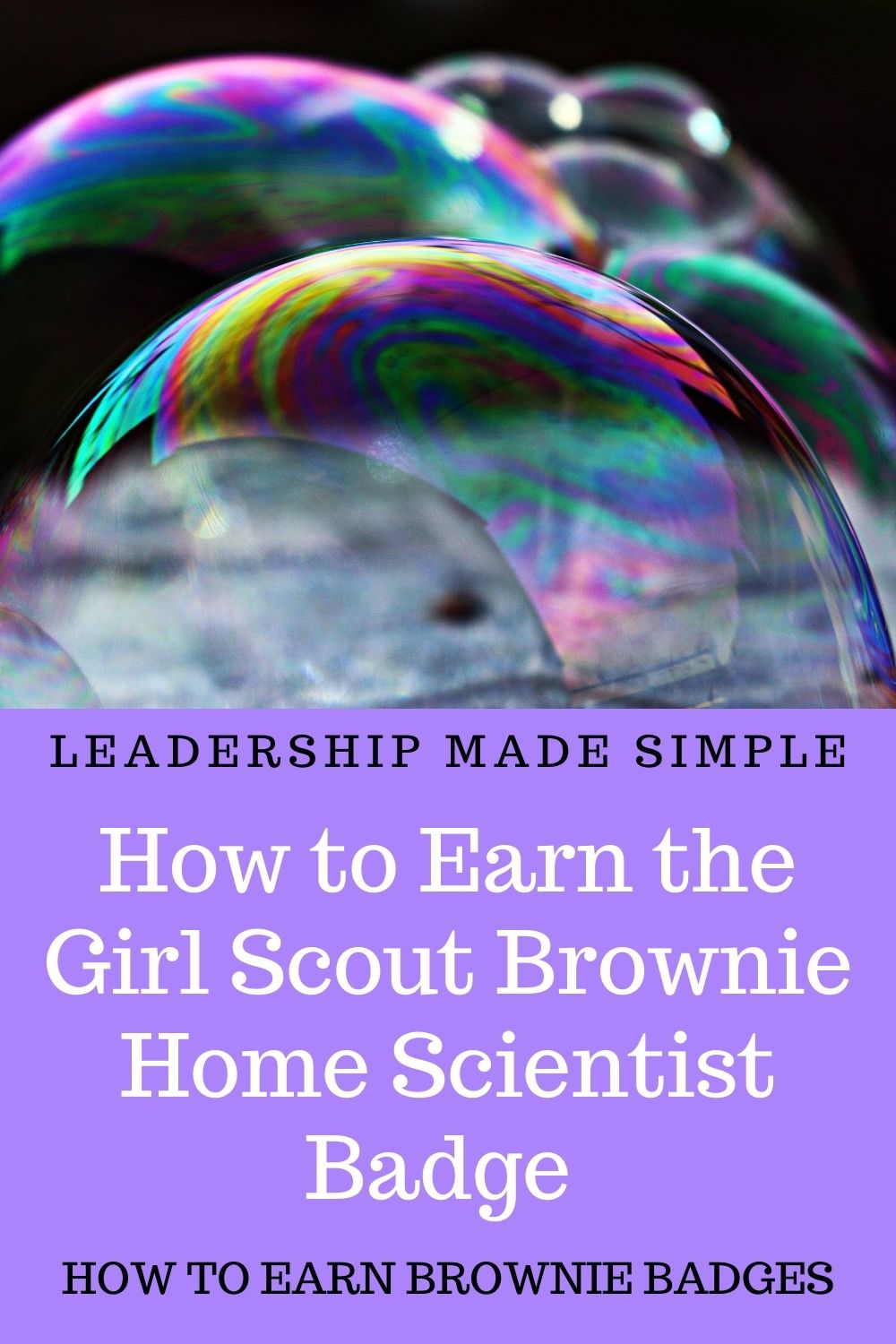 How to Earn Brownie Badges How to Earn the Girl Scout Brownie Home