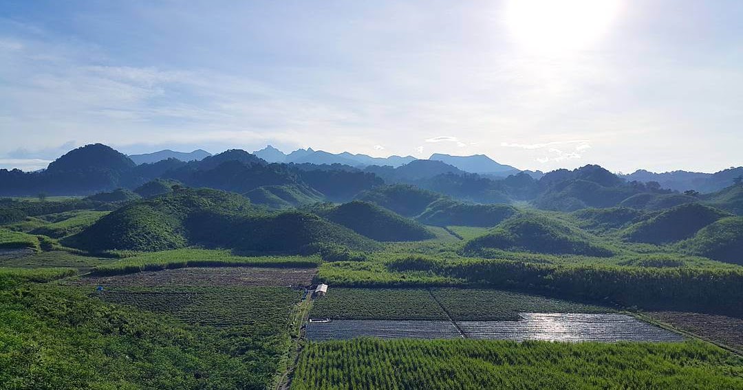 Bukit Teletubbies Blitar, Spot Keren Untuk Berburu Foto ...