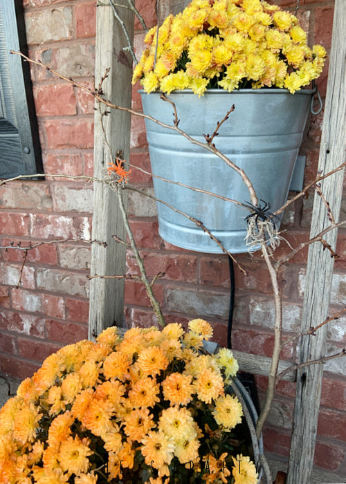 Halloween Porch - mums in buckets on vintage ladder