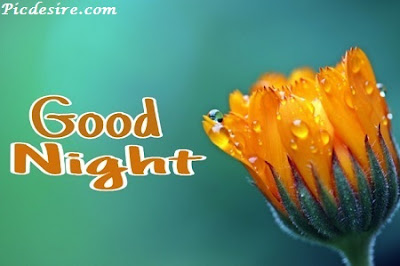 Top 101 Good Night Images || Best Good Night Images Top 101 Good Night Images || Best Good Night Images