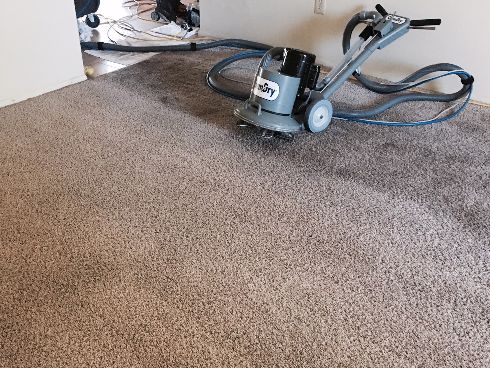 Things to keep in mind when looking for Carpet Cleaning in Port