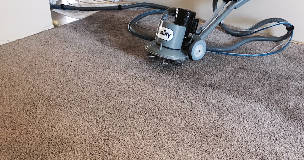 Things to keep in mind when looking for Carpet Cleaning in Port Melbourne Focus