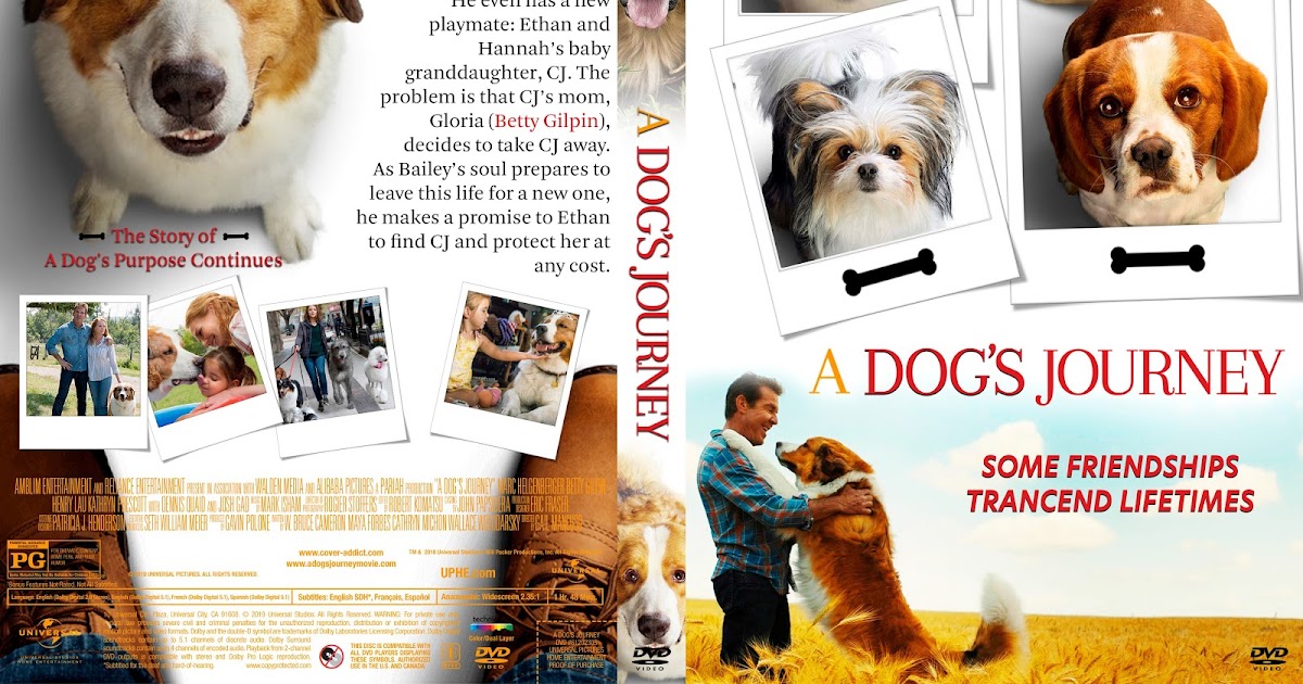 Dog%27s Dog%27s