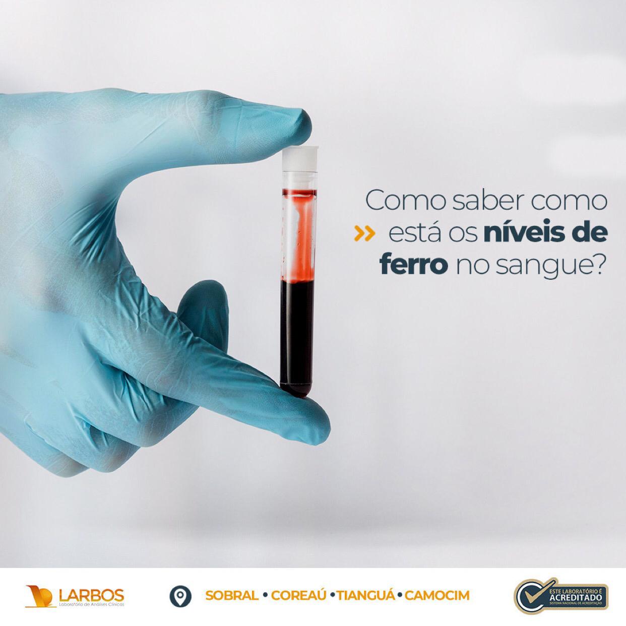 CAMOCIM ONLINE A IMPORTÂNCIA DOS NÍVEIS DE FERRO NO SANGUE CAMOCIM ONLINE A IMPORTÂNCIA DOS NÍVEIS DE FERRO NO SANGUE