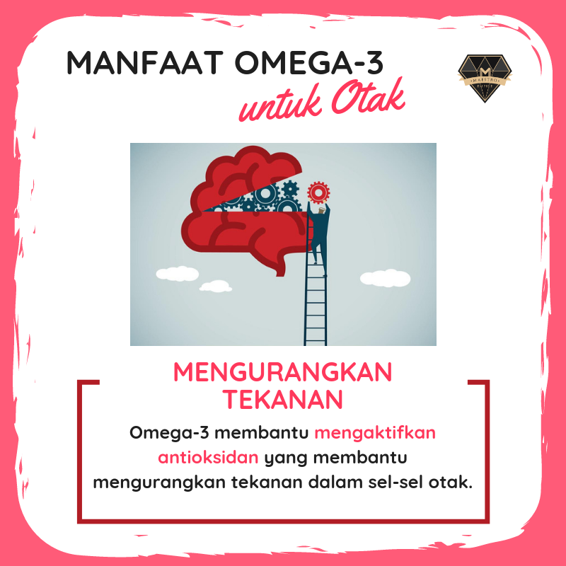 Manfaat Omega3 untuk Otak