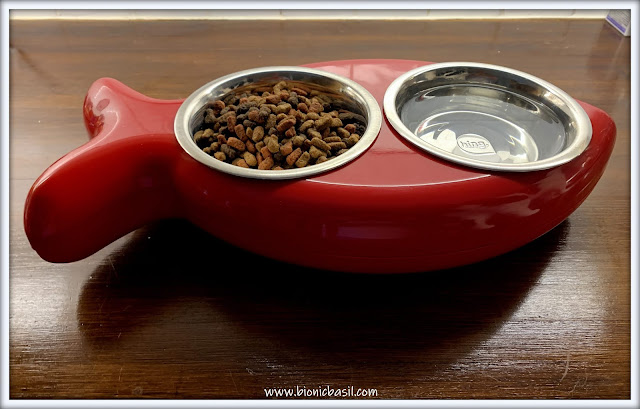 Top Tips For Cat Pawrents ©BionicBasil® Elevated Fish Cat Bowl