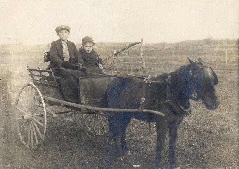 Before Automobile Popularity, 40 Amazing Photos Capture People During