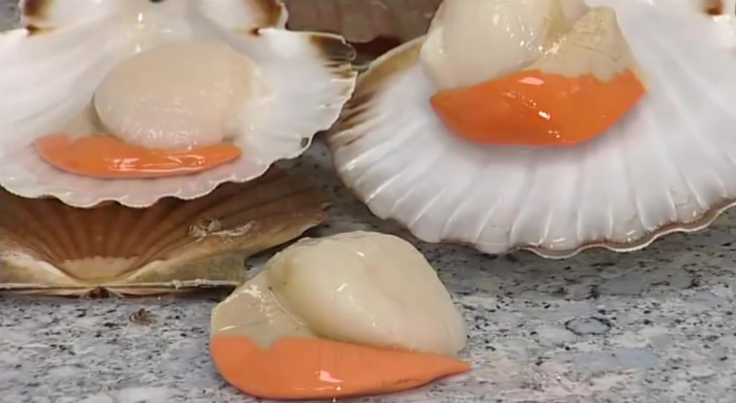 Try Scallop Rich in Nutrition for Health
