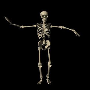 Dancing skeleton