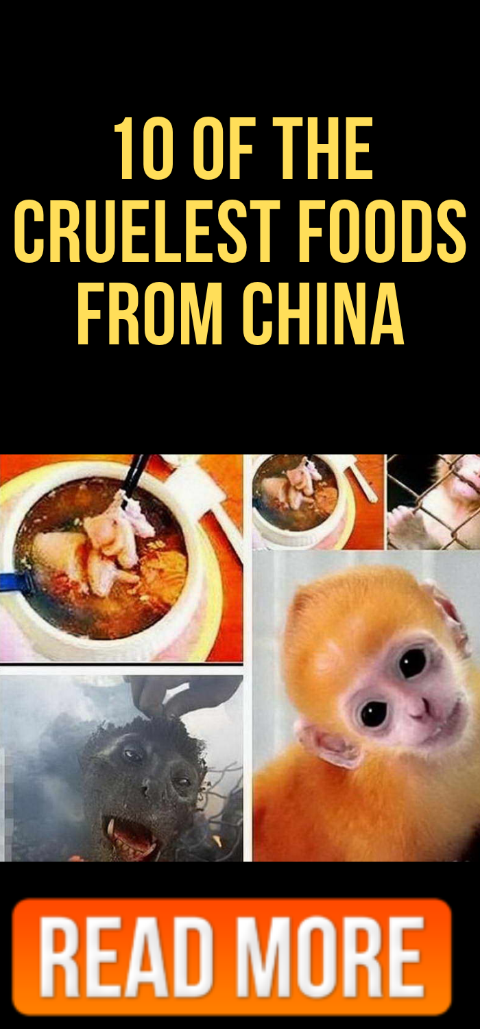 10 of the Cruelest Foods From China HighRated