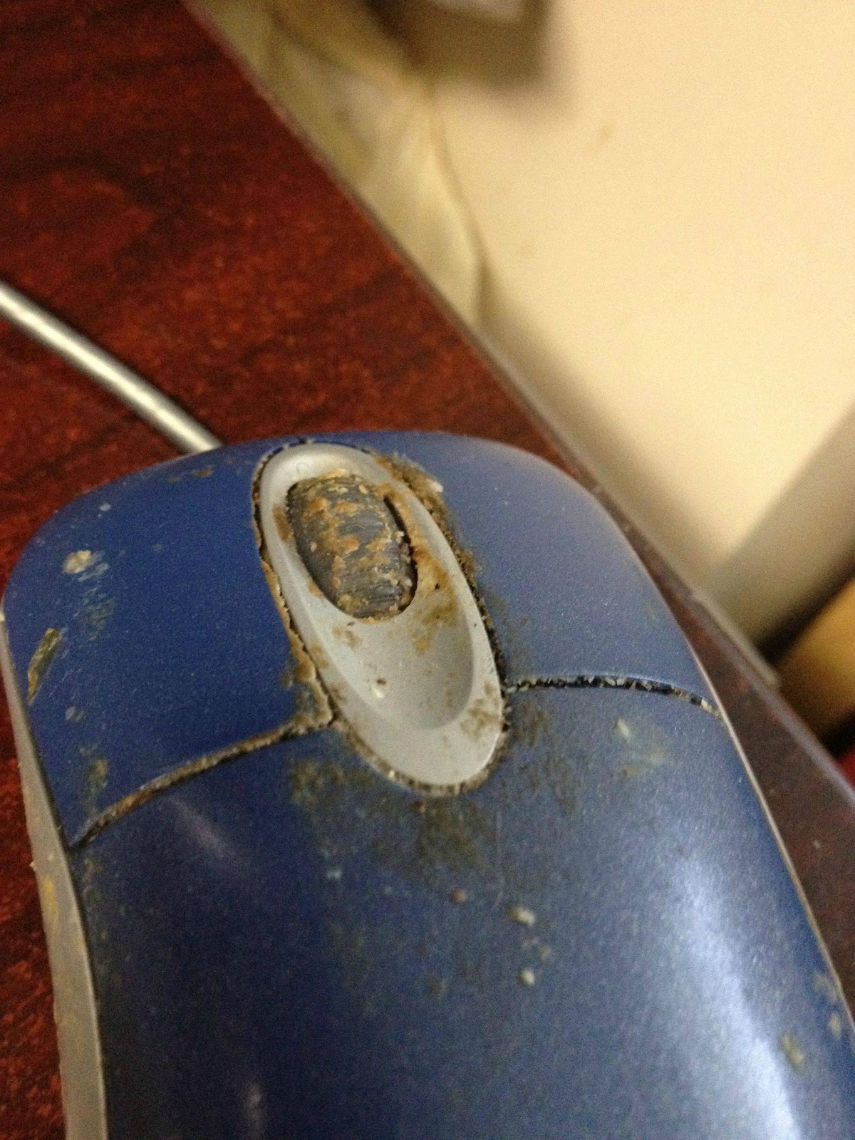 WTH! Dirty Mouse TNGEEK