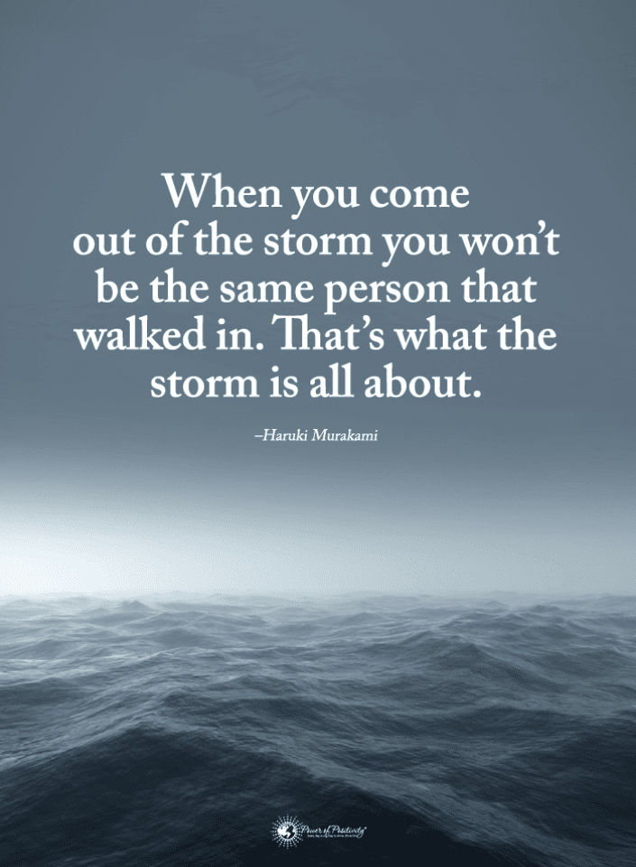 When you come out of the storm you won't be the same person Storm