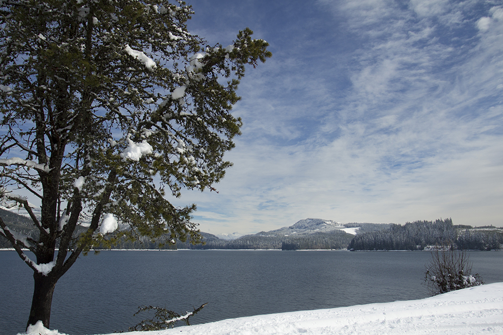 Photographing Oregon Foster Lake