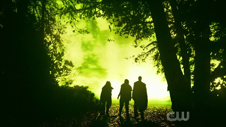 What Is The Anomaly In The 100 Share on Reddit