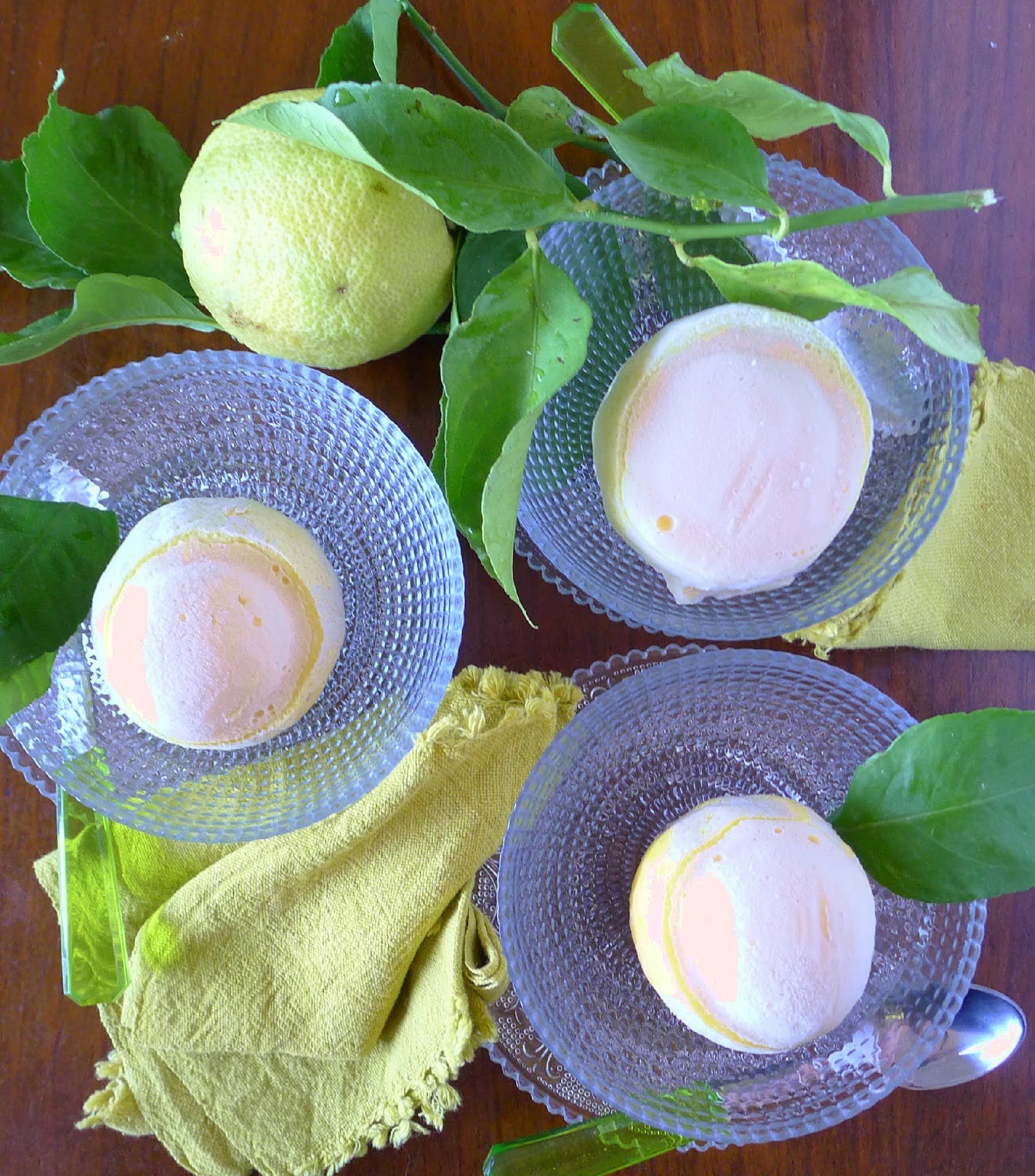 MY KITCHEN IN SPAIN WHEN LIFE GIVES YOU LEMONS—